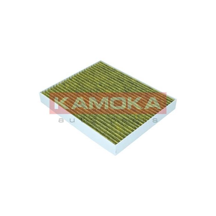 Filtras, salono oras KAMOKA 6080111