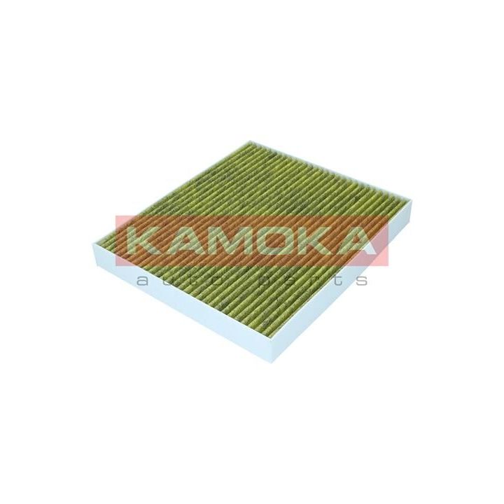Filtras, salono oras KAMOKA 6080138