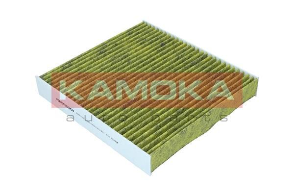 Filtras, salono oras KAMOKA 6080153
