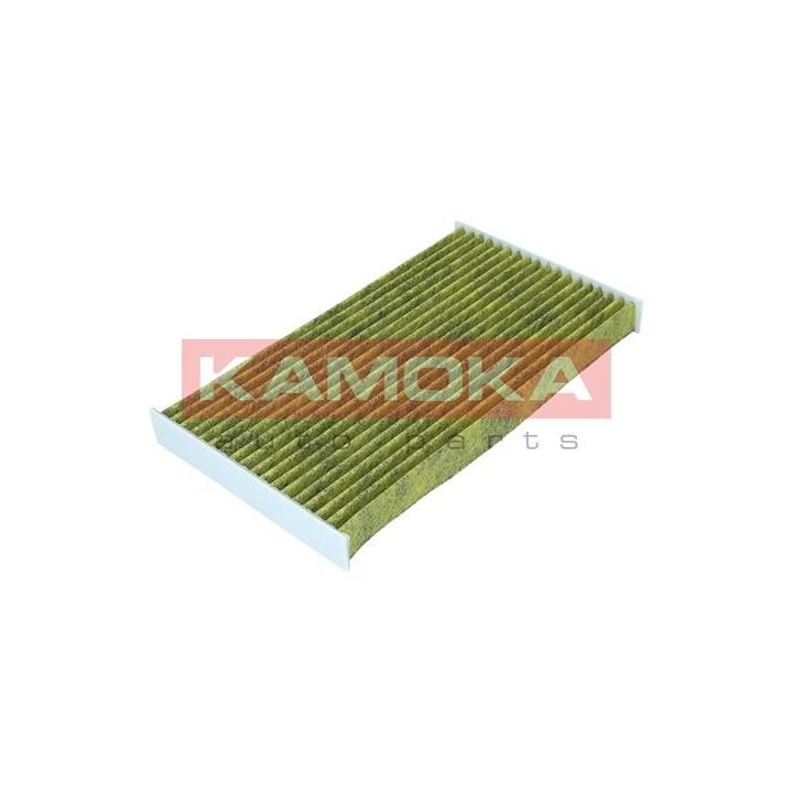 Filtras, salono oras KAMOKA 6080155