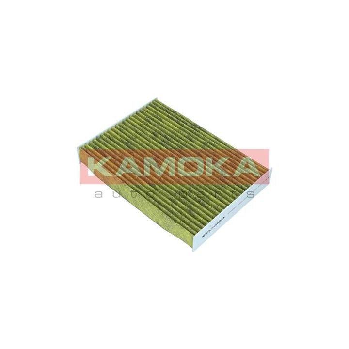Filtras, salono oras KAMOKA 6080160