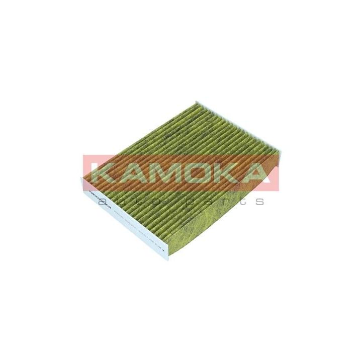 Filtras, salono oras KAMOKA 6080160