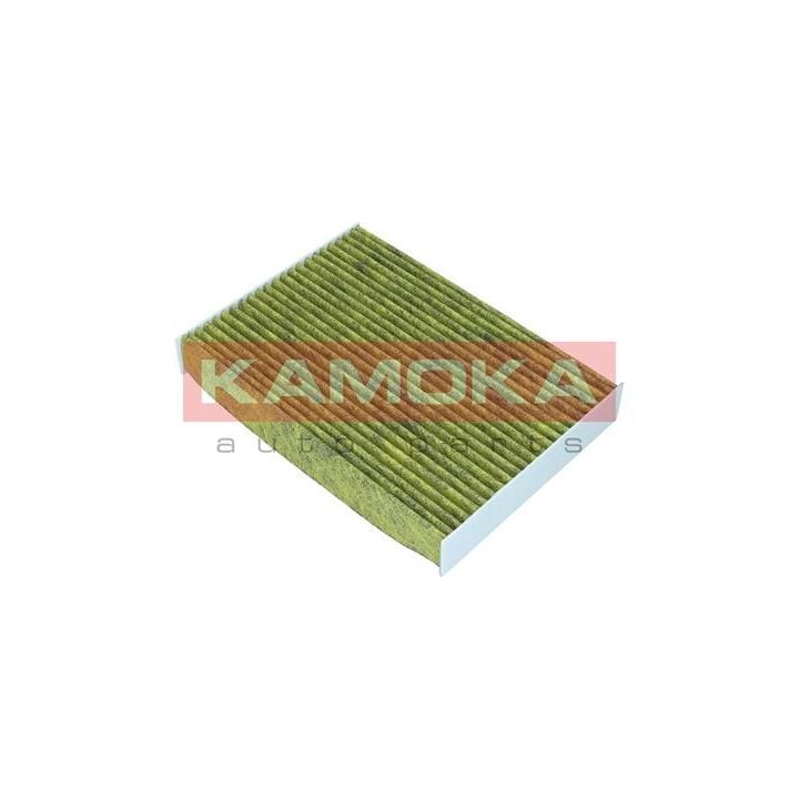 Filtras, salono oras KAMOKA 6080160