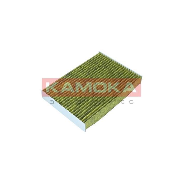 Filtras, salono oras KAMOKA 6080160