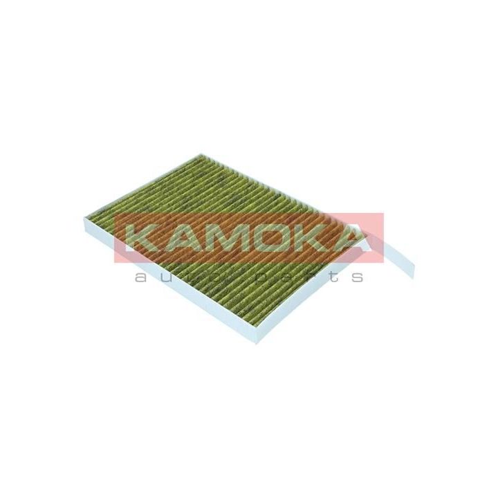 Filtras, salono oras KAMOKA 6080164