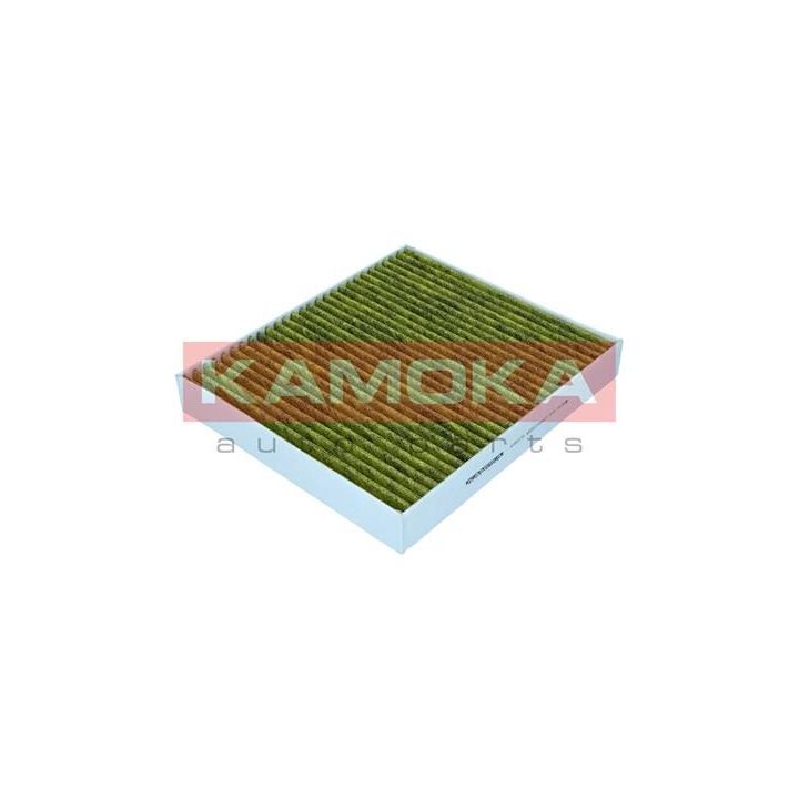 Filtras, salono oras KAMOKA 6080179