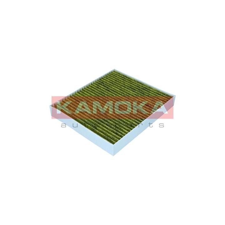 Filtras, salono oras KAMOKA 6080179
