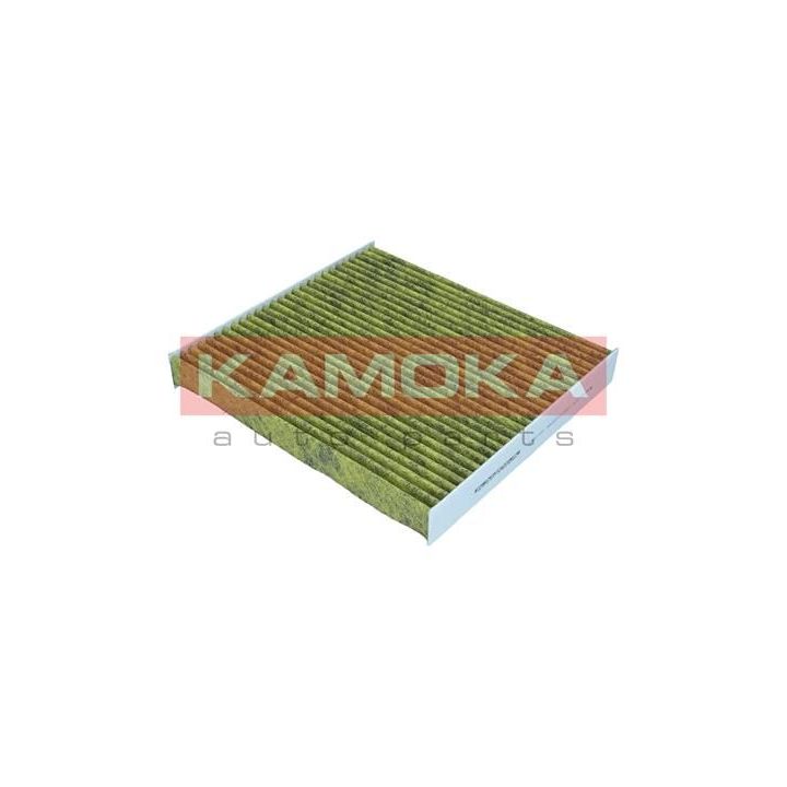 Filtras, salono oras KAMOKA 6080180