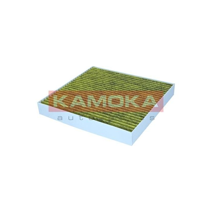 Filtras, salono oras KAMOKA 6080188
