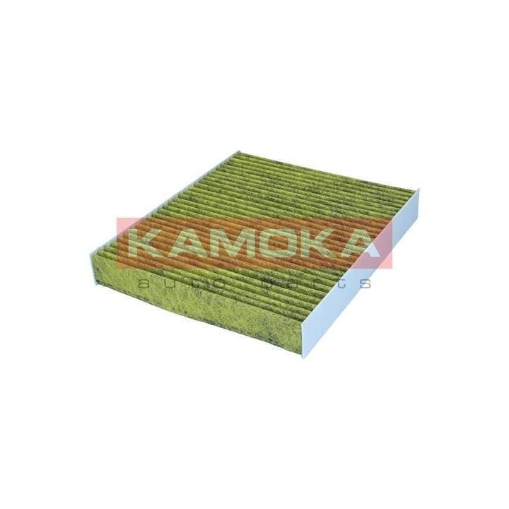Filtras, salono oras KAMOKA 6080189