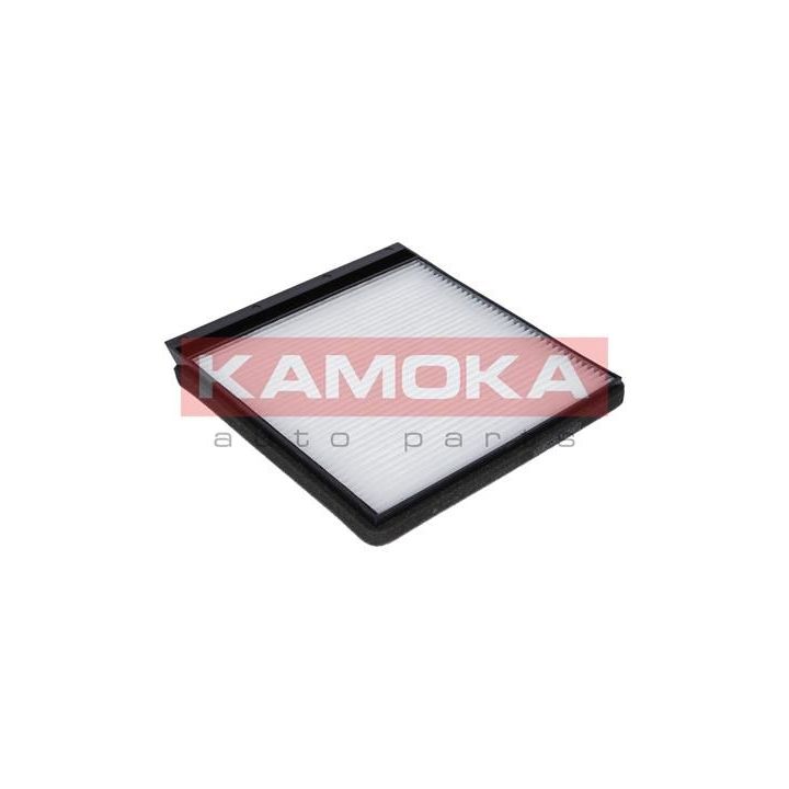 Filtras, salono oras KAMOKA F403501