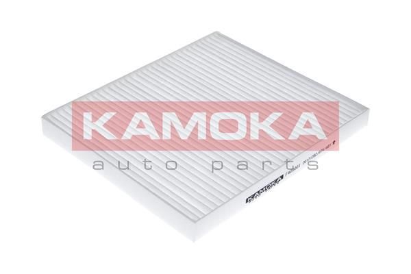 Filtras, salono oras KAMOKA F409001