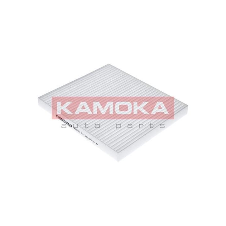 Filtras, salono oras KAMOKA F409001