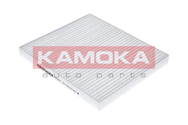 Filtras, salono oras KAMOKA F409001
