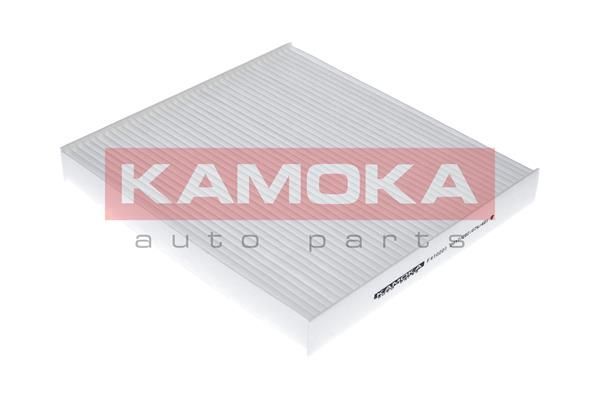 Filtras, salono oras KAMOKA F410201