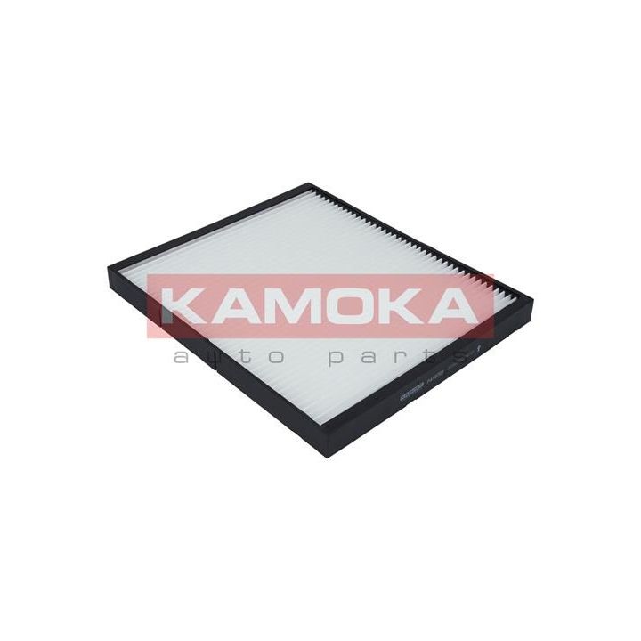 Filtras, salono oras KAMOKA F410701