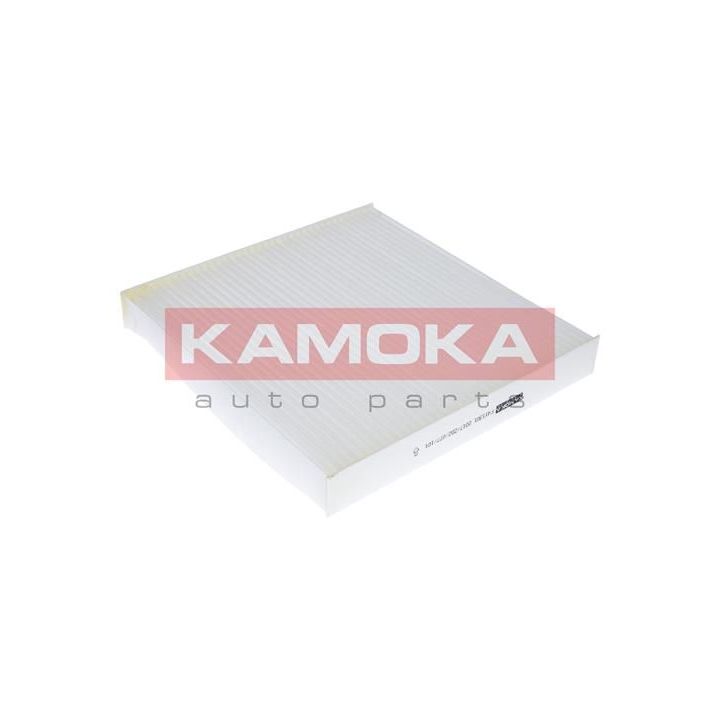 Filtras, salono oras KAMOKA F411301