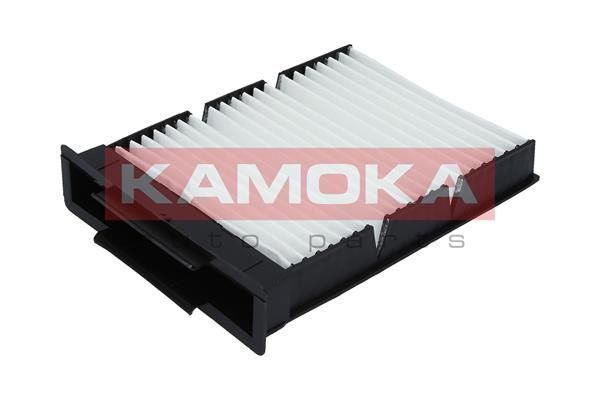 Filtras, salono oras KAMOKA F411701