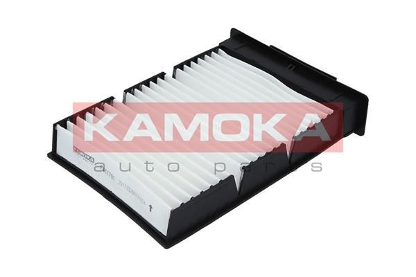 Filtras, salono oras KAMOKA F411701