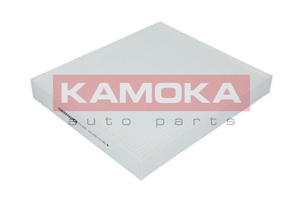 Filtras, salono oras KAMOKA F412001