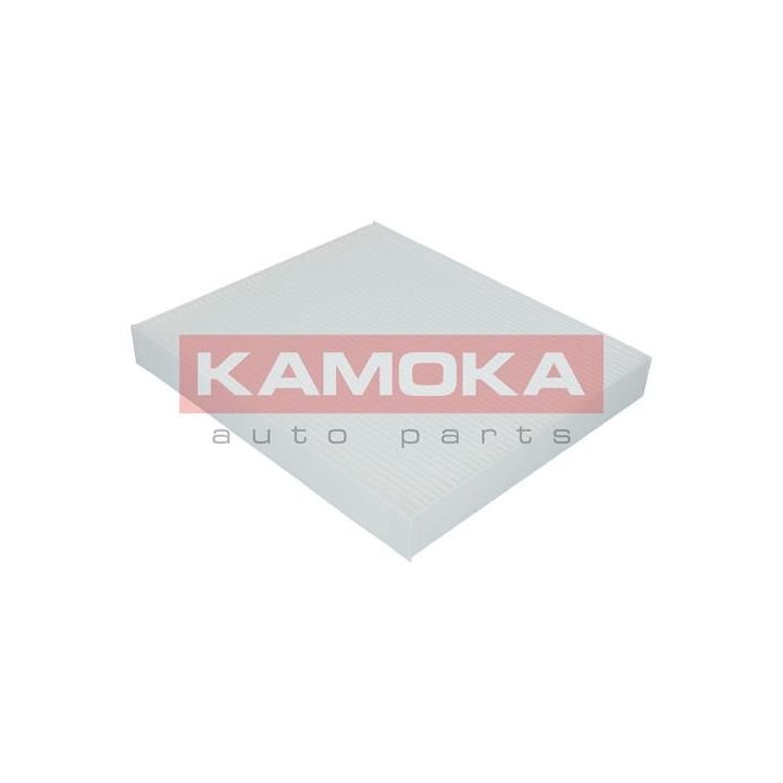 Filtras, salono oras KAMOKA F412001