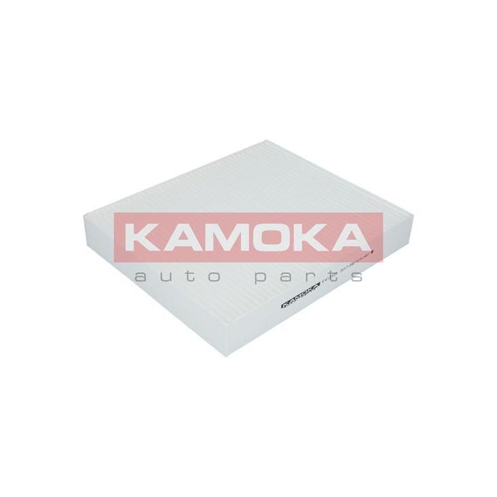 Filtras, salono oras KAMOKA F412101