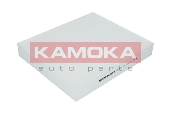 Filtras, salono oras KAMOKA F412101