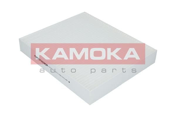 Filtras, salono oras KAMOKA F412101
