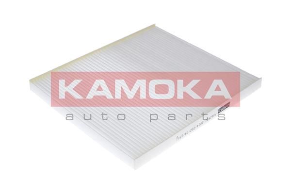 Filtras, salono oras KAMOKA F412501