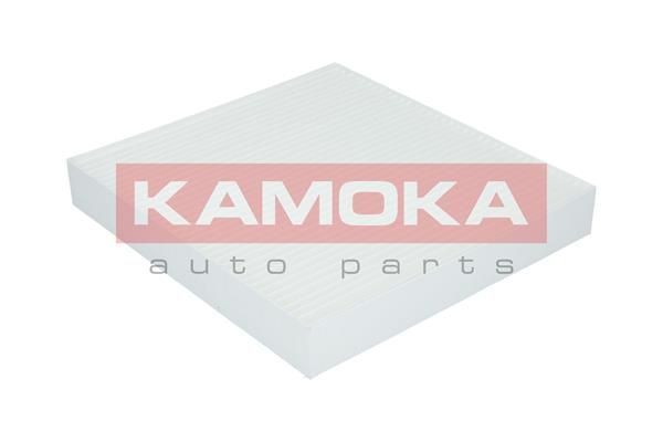 Filtras, salono oras KAMOKA F412901