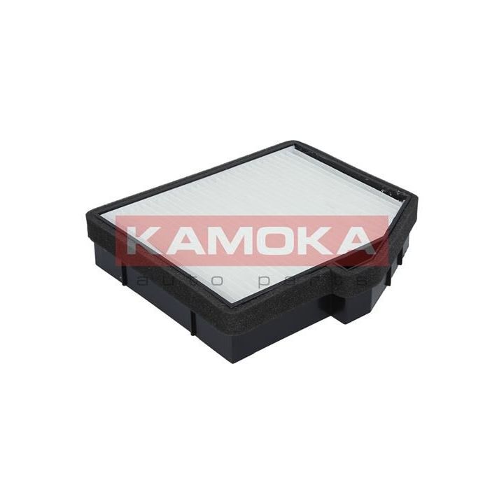 Filtras, salono oras KAMOKA F415401