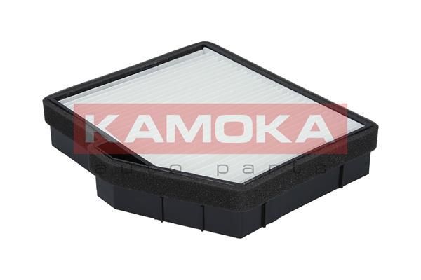 Filtras, salono oras KAMOKA F415401