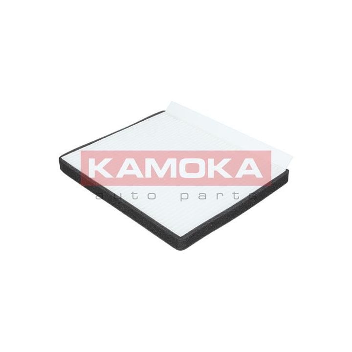 Filtras, salono oras KAMOKA F415501