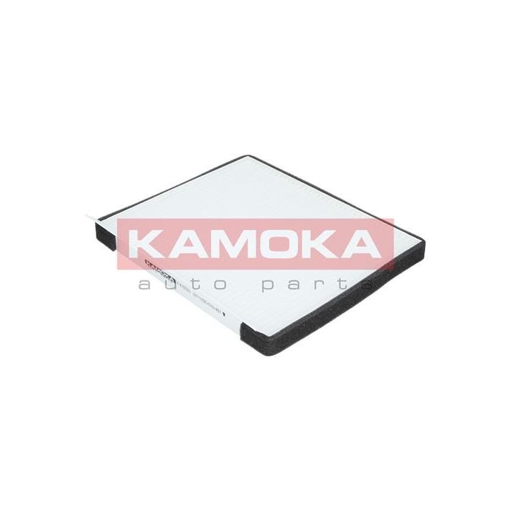 Filtras, salono oras KAMOKA F415501
