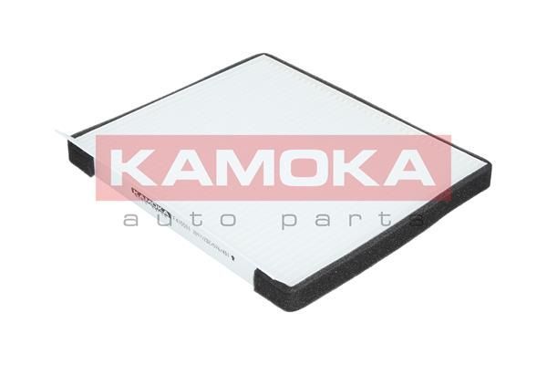 Filtras, salono oras KAMOKA F415501