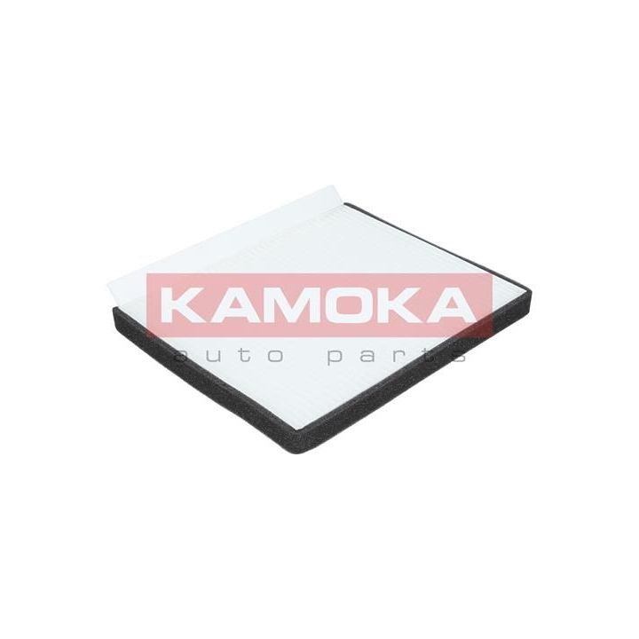 Filtras, salono oras KAMOKA F415501