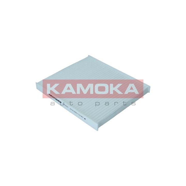Filtras, salono oras KAMOKA F416301