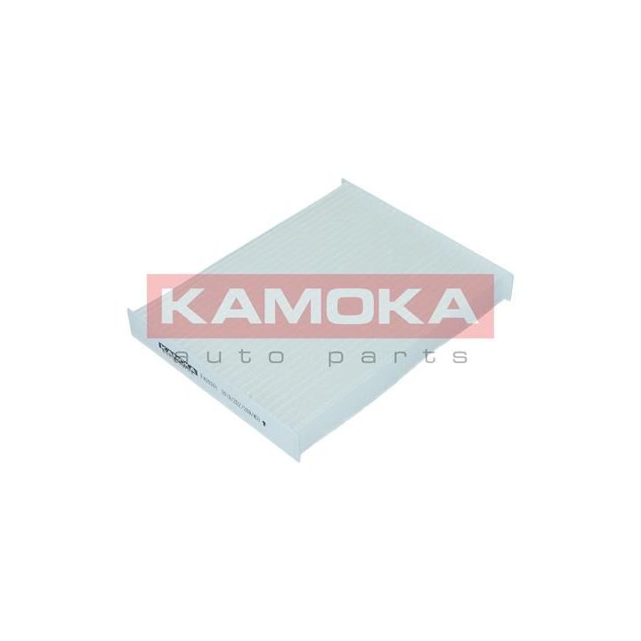 Filtras, salono oras KAMOKA F420201