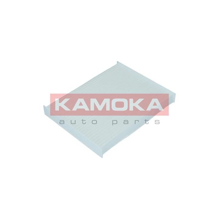 Filtras, salono oras KAMOKA F420201