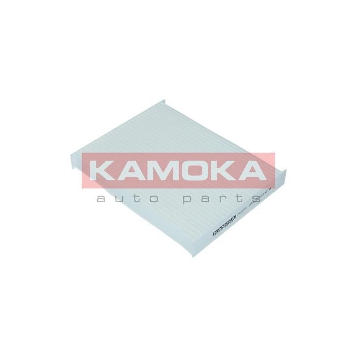 Filtras, salono oras KAMOKA F420201