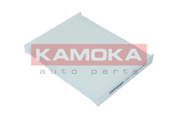 Filtras, salono oras KAMOKA F420201