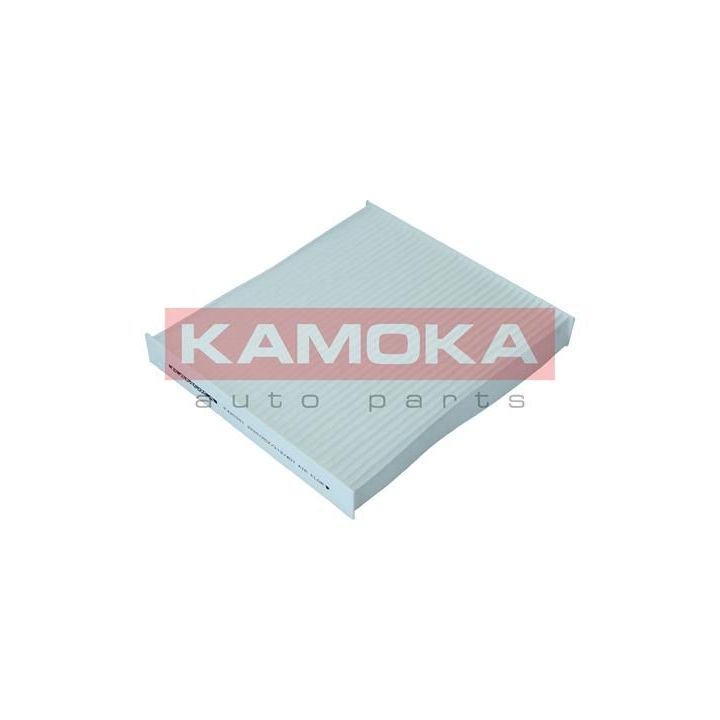 Filtras, salono oras KAMOKA F420301