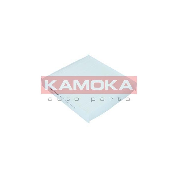 Filtras, salono oras KAMOKA F420401