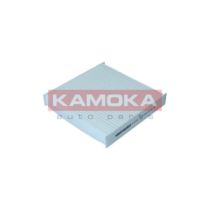Filtras, salono oras KAMOKA F420601