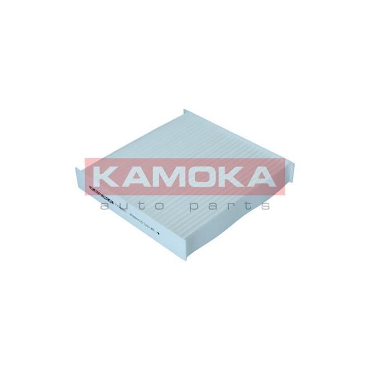 Filtras, salono oras KAMOKA F420601