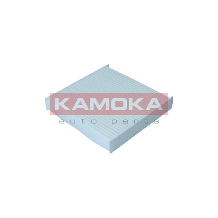 Filtras, salono oras KAMOKA F420601