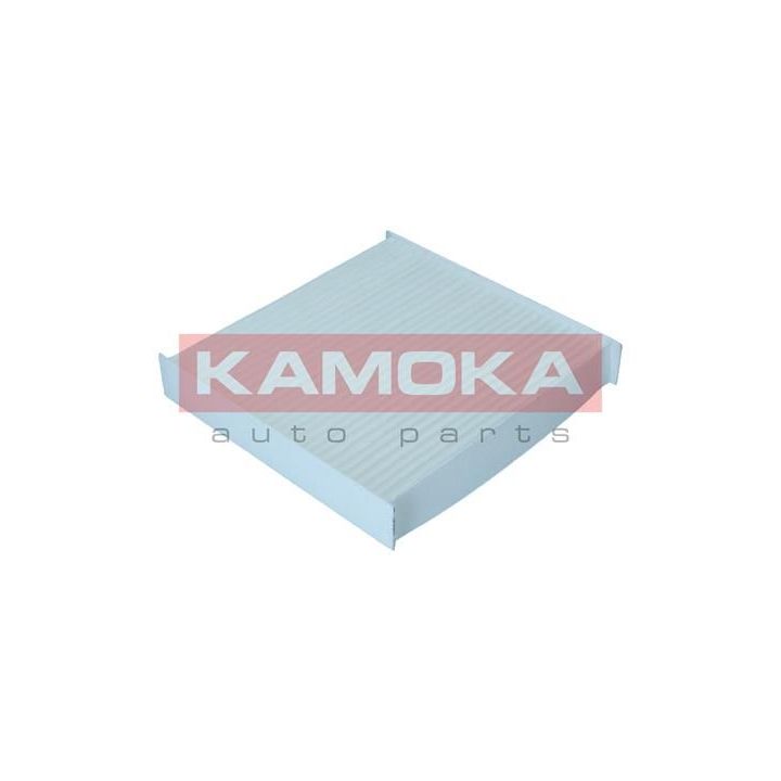 Filtras, salono oras KAMOKA F420601