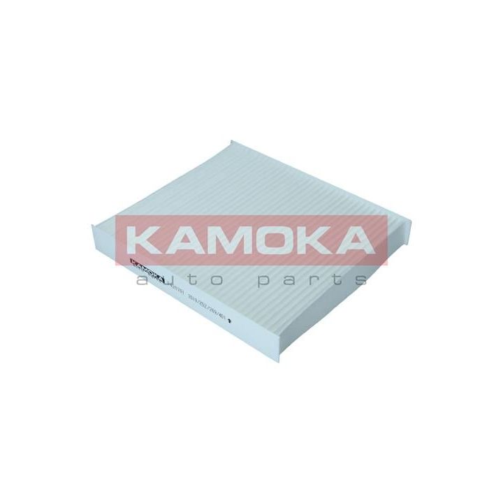 Filtras, salono oras KAMOKA F420701