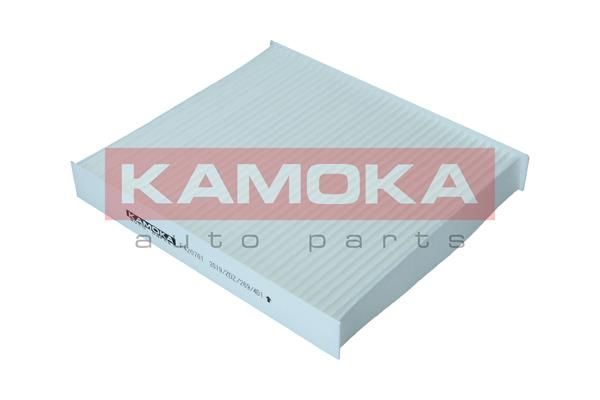 Filtras, salono oras KAMOKA F420701