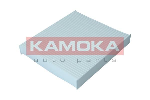 Filtras, salono oras KAMOKA F420701